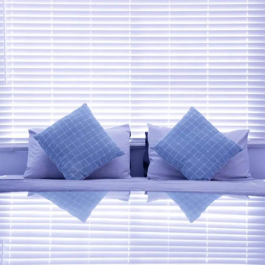 Sân vườn buổi chiều